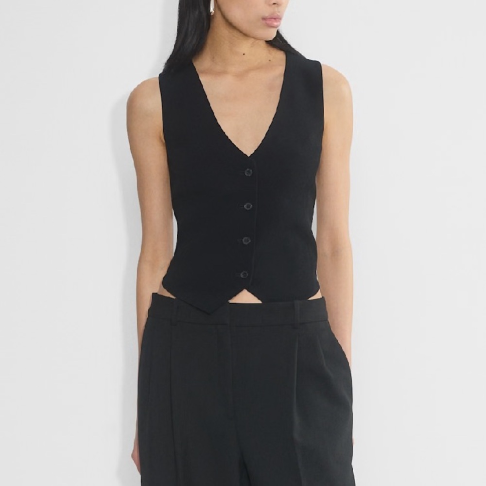 Aritzia babaton deniro vest